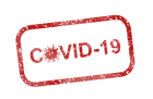 Obrázek k článku Preventivní testování na Covid-19