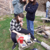 Obrázek k článku Nerostné suroviny v Geologickém muzeu Říčany