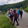 Obrázek k článku  Víte jak změřit výšku stromu?