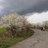 Obrázek k článku Krajem sv. Donáta - 43. kantorský výlet