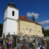 Obrázek k článku Velbloud se čtyřmi hrby