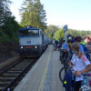Obrázek k článku Velbloud se čtyřmi hrby
