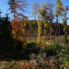 Obrázek k článku 19,5. Čtyřiadvacítka – Blaník 28. 10. 2021 