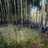 Obrázek k článku 19,5. Čtyřiadvacítka – Blaník 28. 10. 2021 