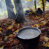 Obrázek k článku 20. Čtyřiadvacítka – Kocábská – 22. 10. 2022