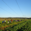 Obrázek k článku 20. Čtyřiadvacítka – Kocábská – 22. 10. 2022