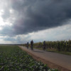 Obrázek k článku Cyklovýlet – Slánský saxofon