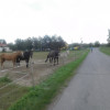 Obrázek k článku Cyklovýlet – Slánský saxofon