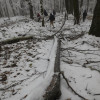 Obrázek k článku Zimní pohádka na Kletečné 25.1. 2020