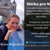 Obrázek k článku Pomozte splnit Ninin sen!