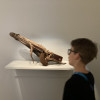 Obrázek k článku Kunsthalle – projekt na pomezí fyziky a výtvarky