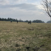 Obrázek k článku SĀGA na Křižovatce
