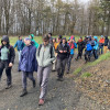 Obrázek k článku 4.A a 4.B ve Spáleném Poříčí aneb Lesy 2023