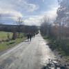 Obrázek k článku 4.A a 4.B ve Spáleném Poříčí aneb Lesy 2023