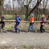 Obrázek k článku 4.A a 4.B ve Spáleném Poříčí aneb Lesy 2023